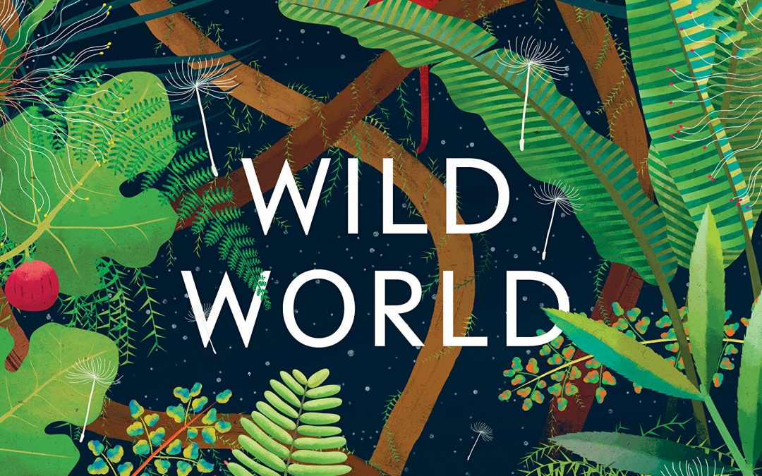 Wild world